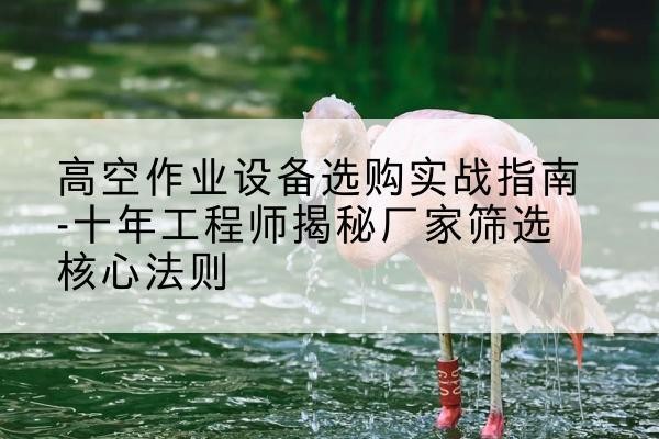 东宝剪叉式升降机厂家-高空作业设备选购实战指南-十年工程师揭秘厂家筛选核心法则