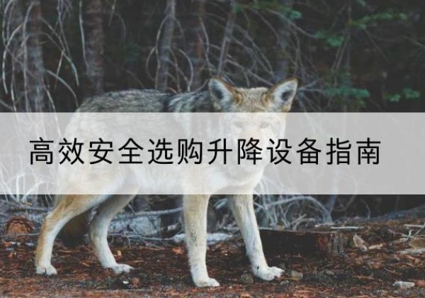 东宝升降货梯厂家推荐-*安全选购升降设备指南