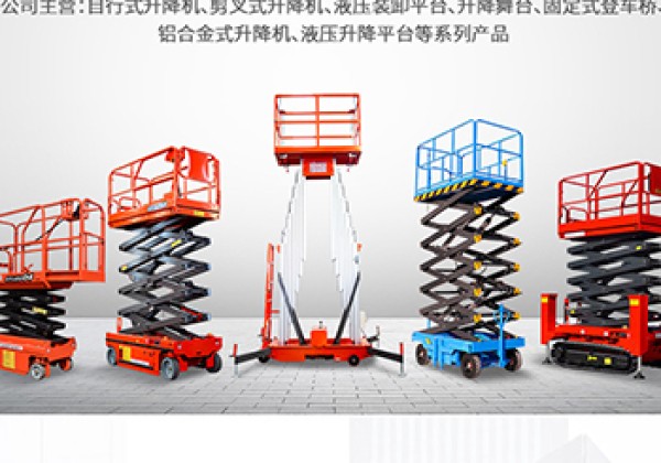 东宝​出口成为核心增长引擎