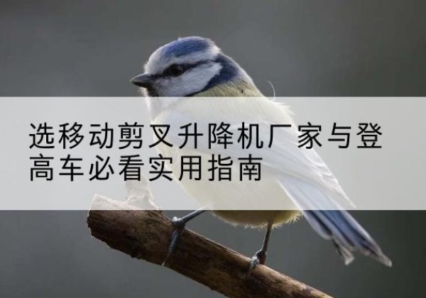 东宝电动升降机厂家-选移动剪叉升降机厂家与登高车必看实用指南