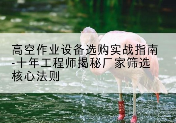 东宝剪叉式升降机厂家-高空作业设备选购实战指南-十年工程师揭秘厂家筛选核心法则